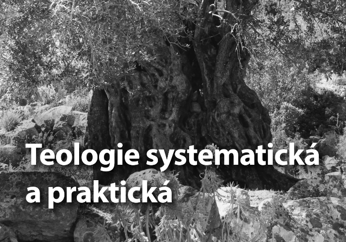 Dokumenty ekumenické konvergence po čtyřiceti letech: Křest, večeře Páně a ordinace (BEM)
